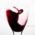 Vino Ribera del Duero